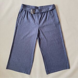 J Jill Linen Stretch Blue Striped Wide Leg Cropped Pull On Pants Size L Petite